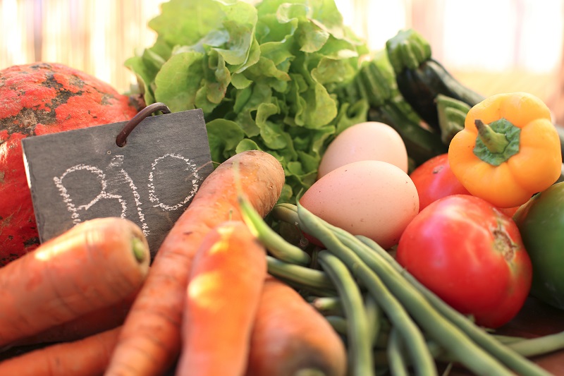 Légumes « bio » et métaux lourds : le GRAND malentendu