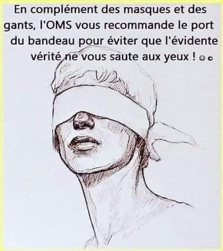 Une image contenant texte, livre
Description générée automatiquement
