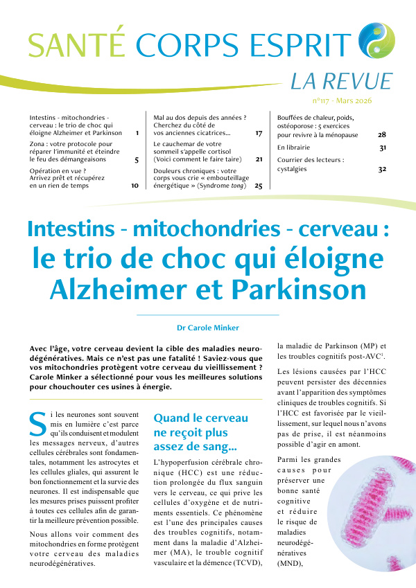 Intestins, mitochondries, cerveau : le trio qui éloigne Alzheimer